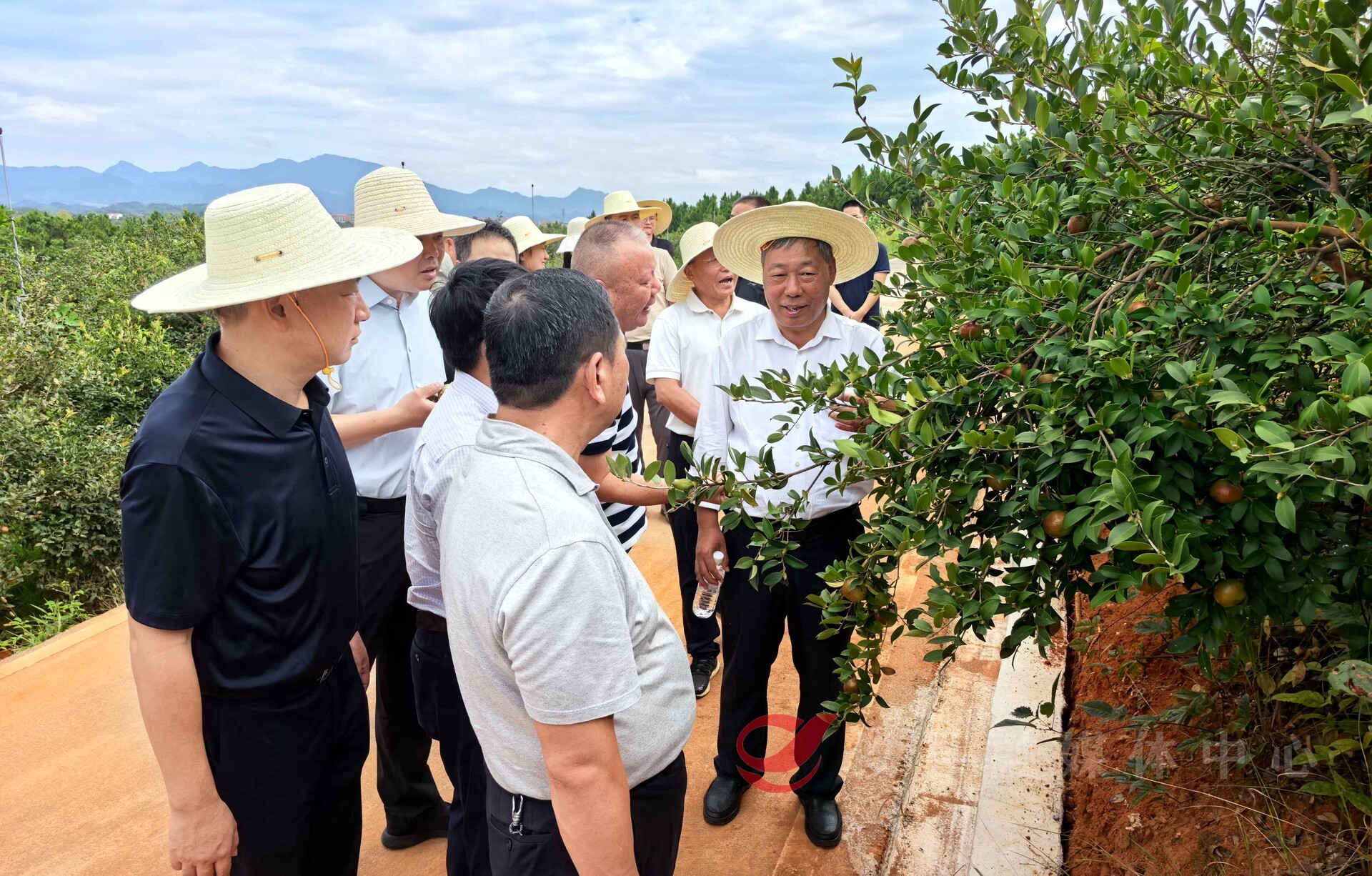中央统战部党外知识分子建言献策专家组农业农村组来攸调研