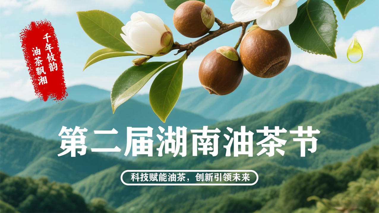 科技赋能油茶 创新引领未来——第二届湖南油茶节