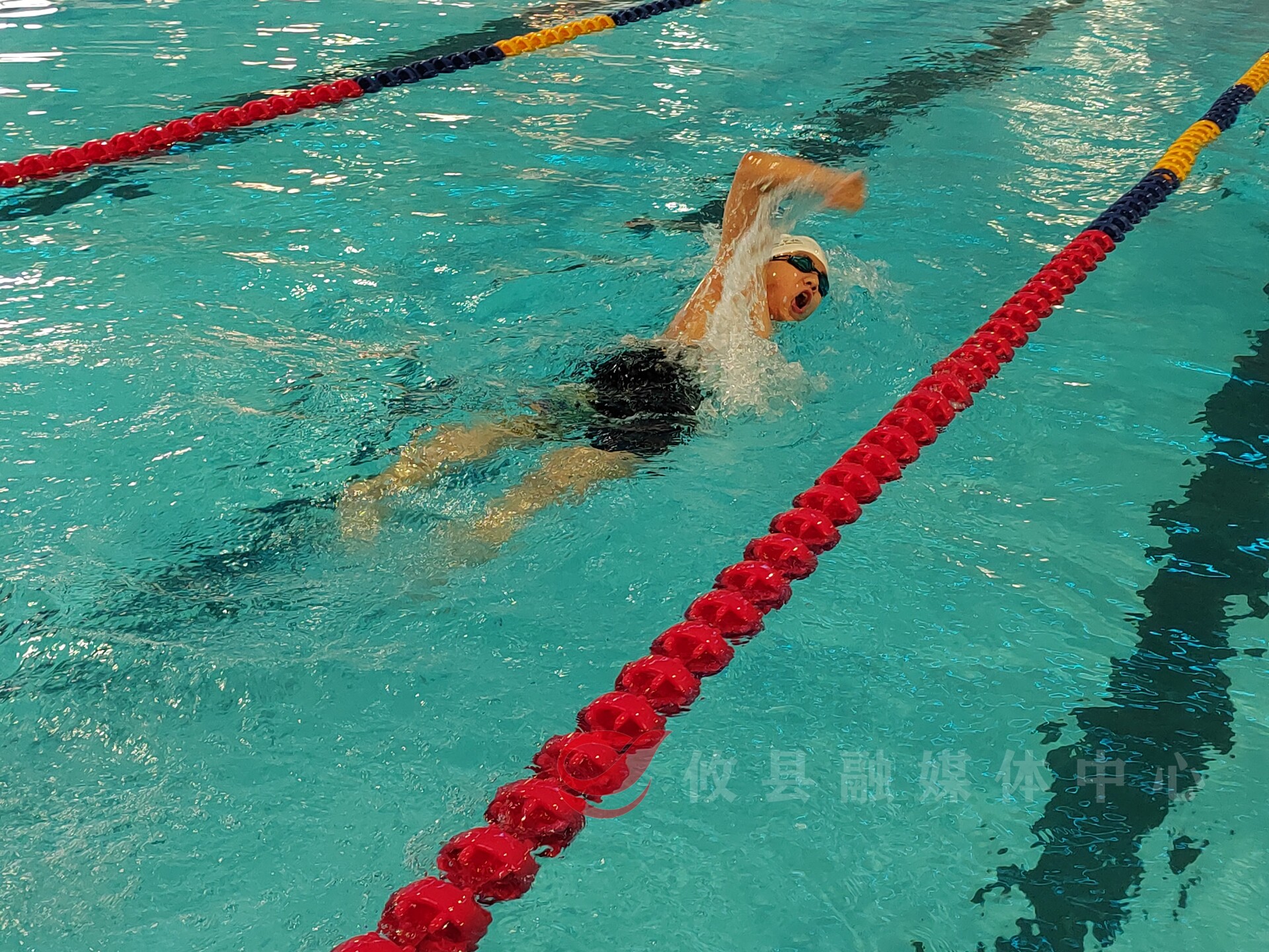 335名小将角逐！第四届“律动杯”中小学生游泳比赛圆满落幕