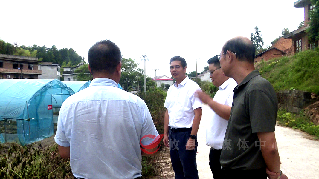 武挪强调研丫江桥镇经济社会发展情况