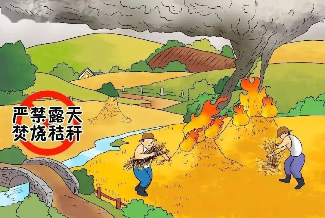 关于秸秆禁烧致农民朋友的一封信