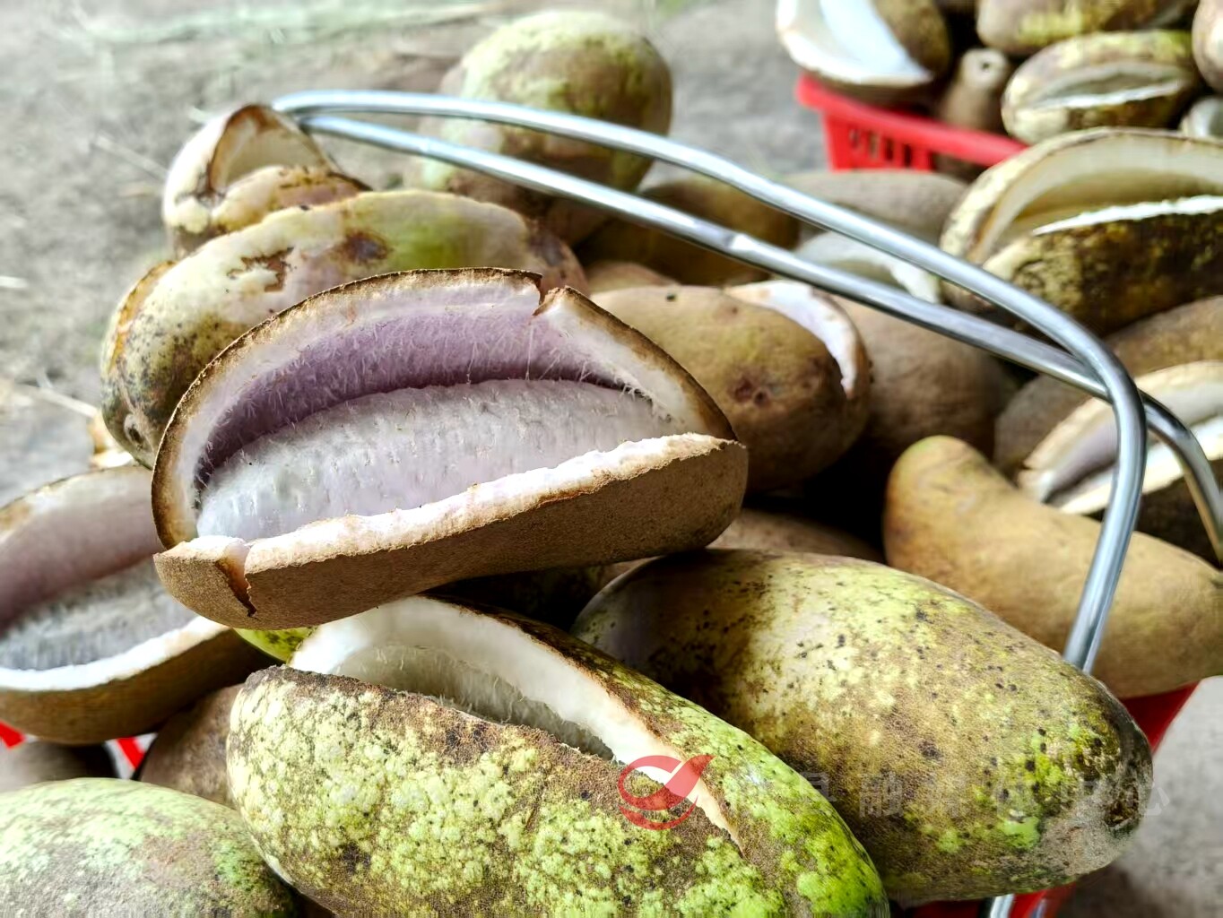 鸾山藏“奇果”，八月才熟的“甜蜜炸弹”上市了！