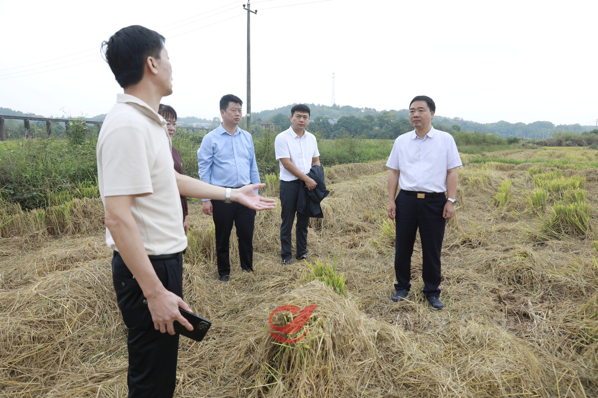 李鹏程督导调研秸秆禁限烧和综合利用工作