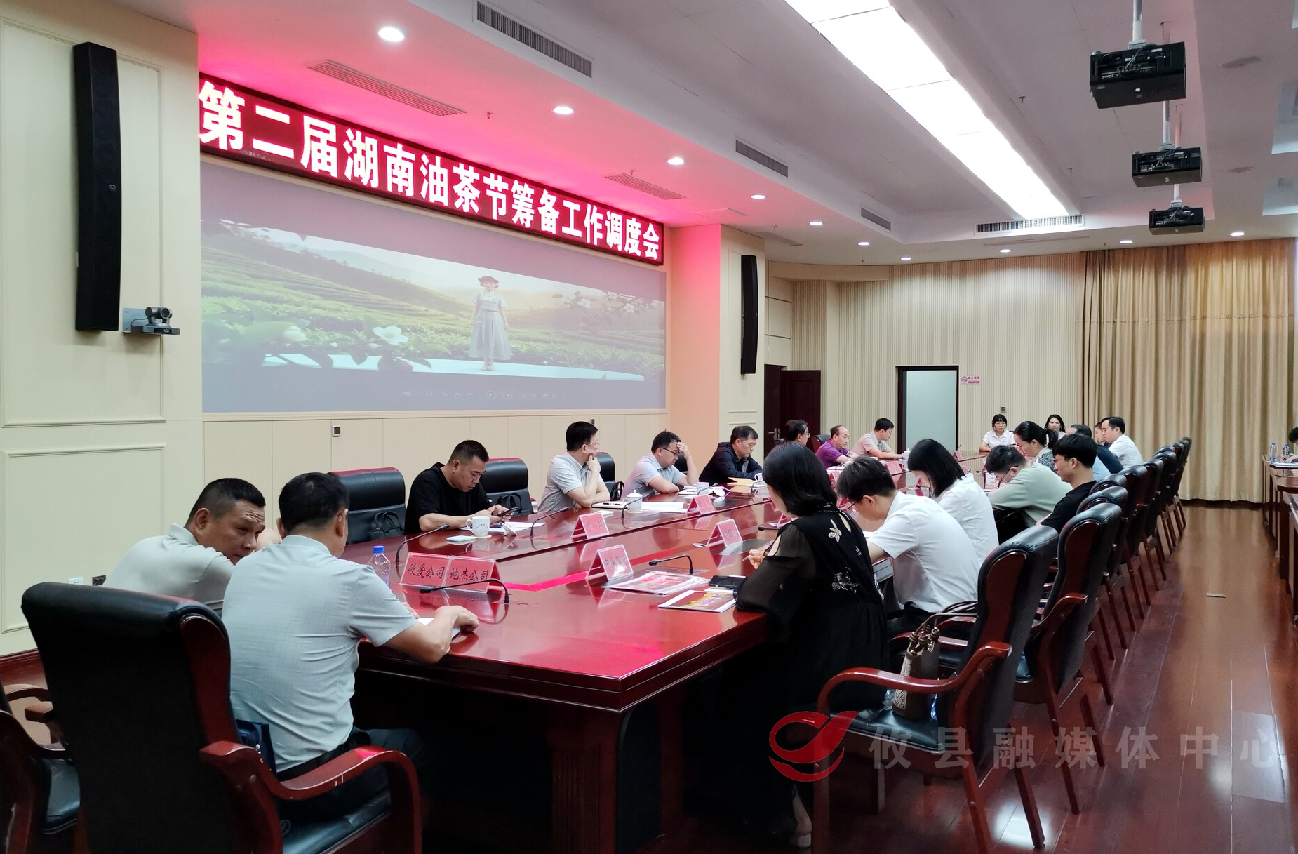 省林业局来攸考察湖南油茶节筹备工作