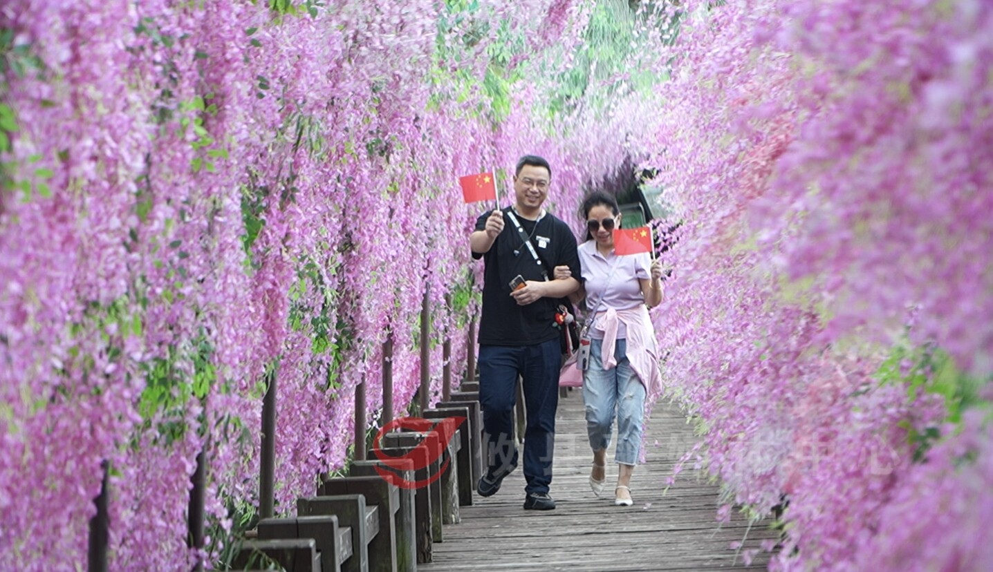酒仙湖景区:山水画卷添仙气 游客盛赞"神仙体验"