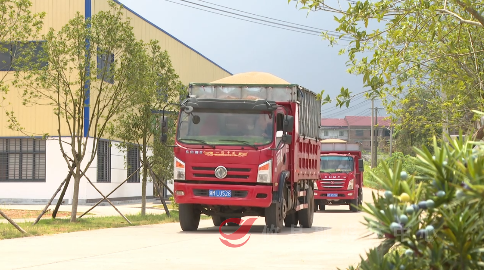 攸县：赋能粮业扩规模 稳收储 助发展