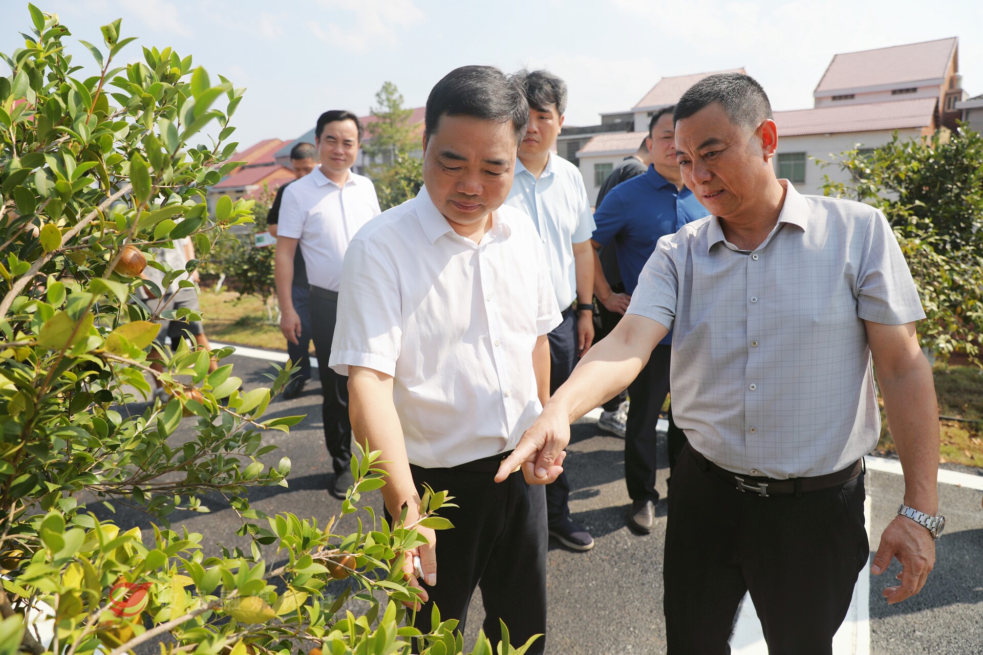 李鹏程督导第二届湖南油茶节活动现场筹备情况  要求办出亮点、办出特色、办出水平
