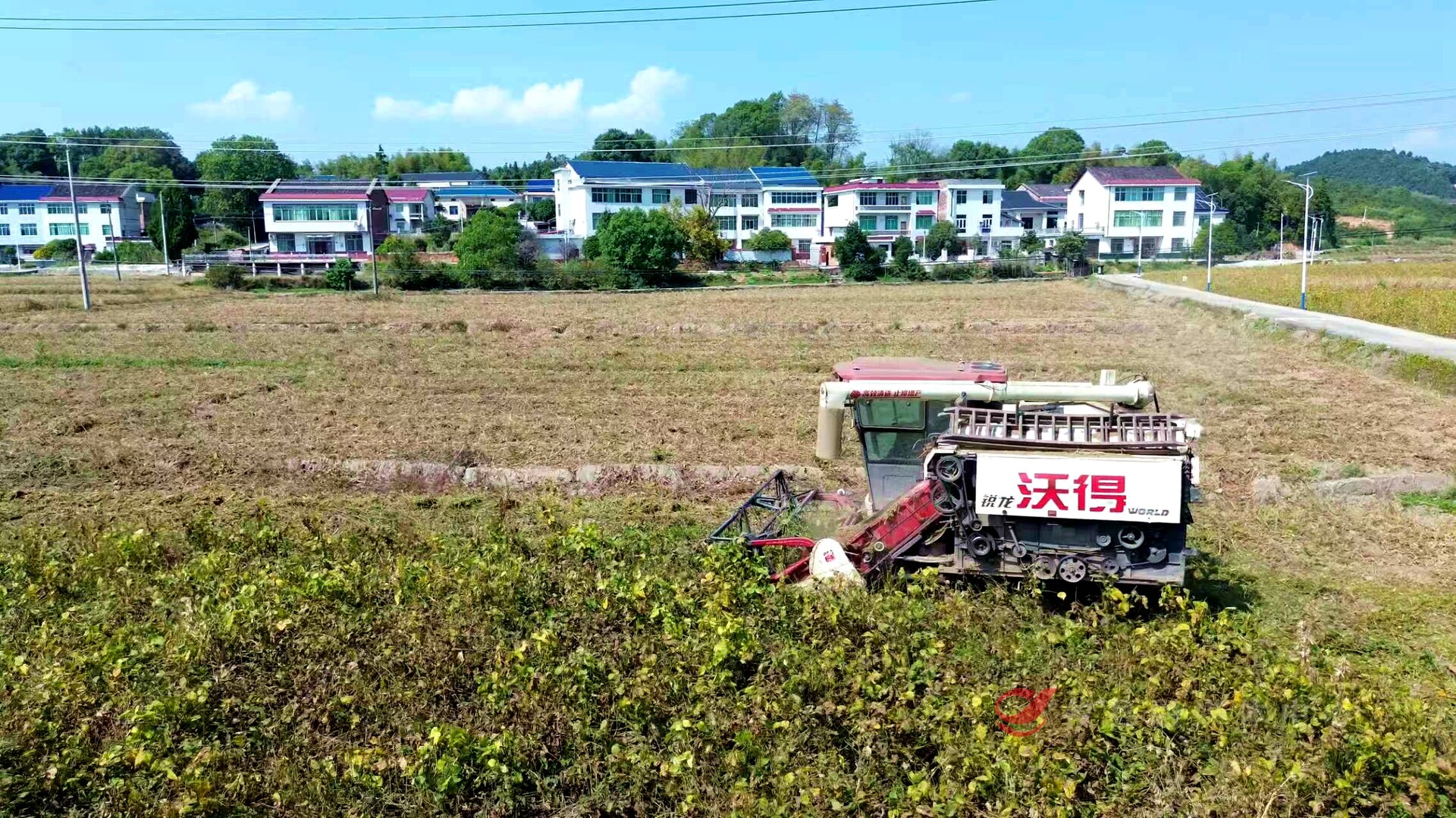 攸县大豆种植铺就产业振兴路