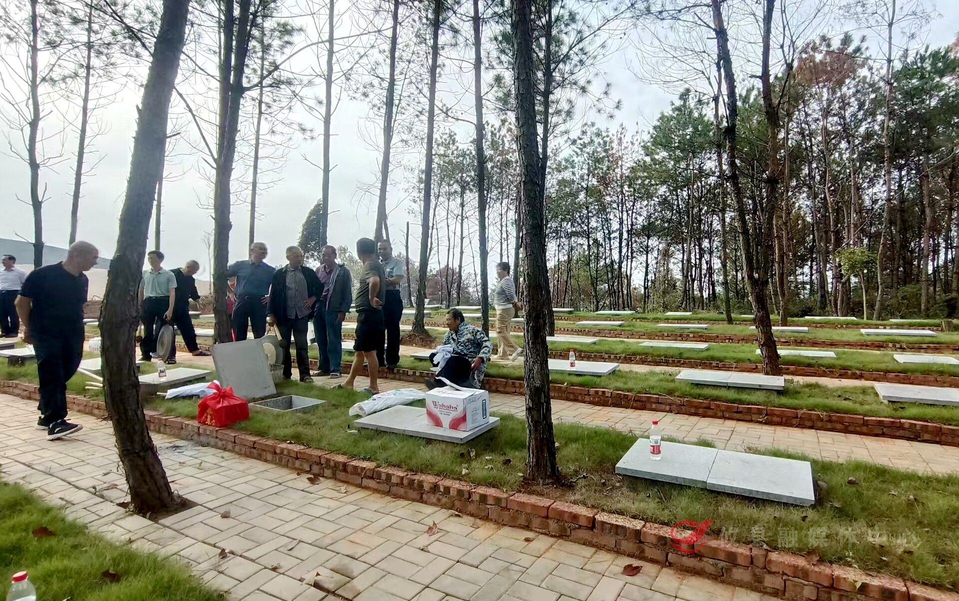 丫江桥镇公益性公墓启用，助推移风易俗绿色殡葬