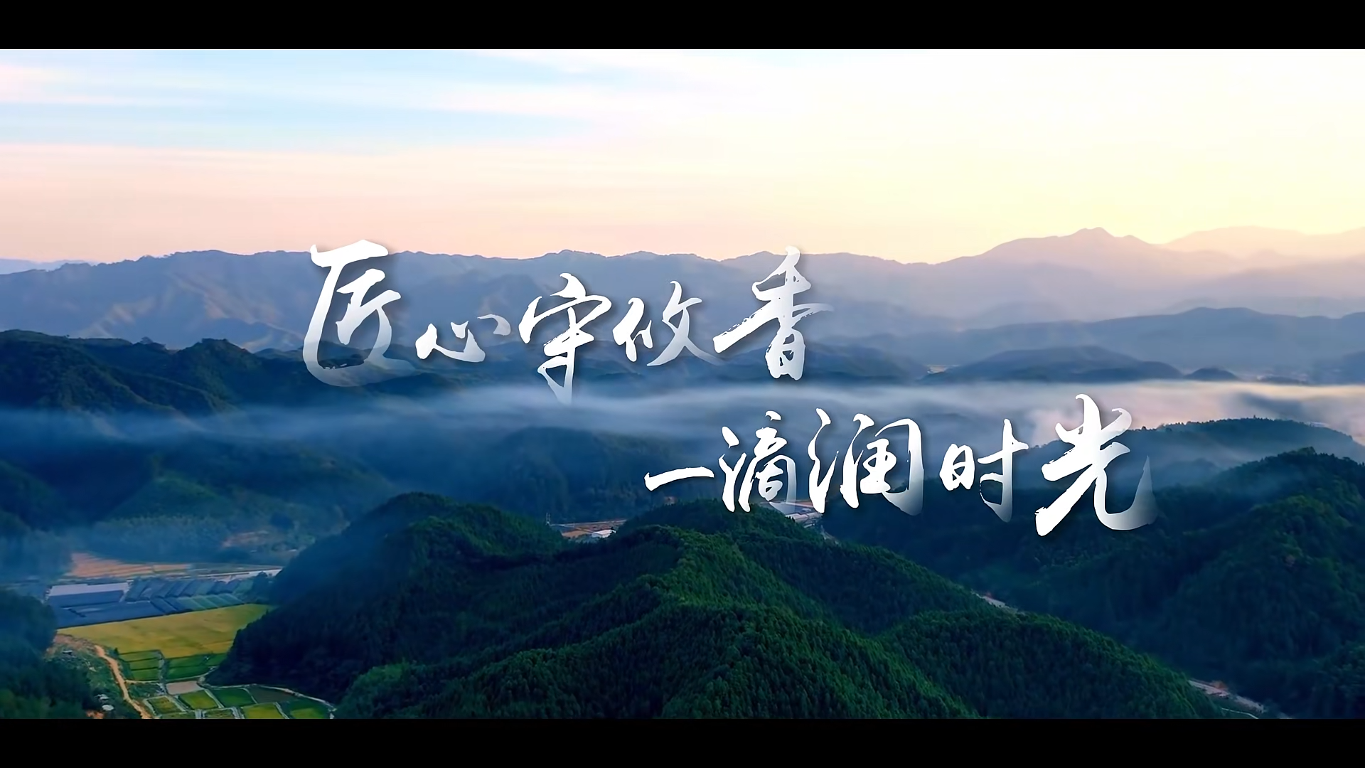 匠心守攸香，一滴润时光！从小浸润的茶油香，是刻在骨子里的家乡记忆。#第二届湖南油茶节 等你共赴这场香约