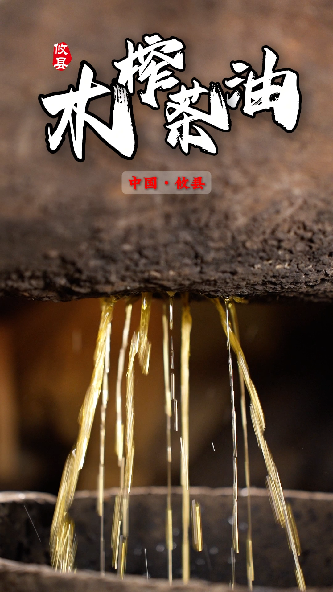 攸县古法榨油技艺，GET一下 #第二届湖南油茶节#千年攸韵油茶飘湘#攸县油茶#古法榨油