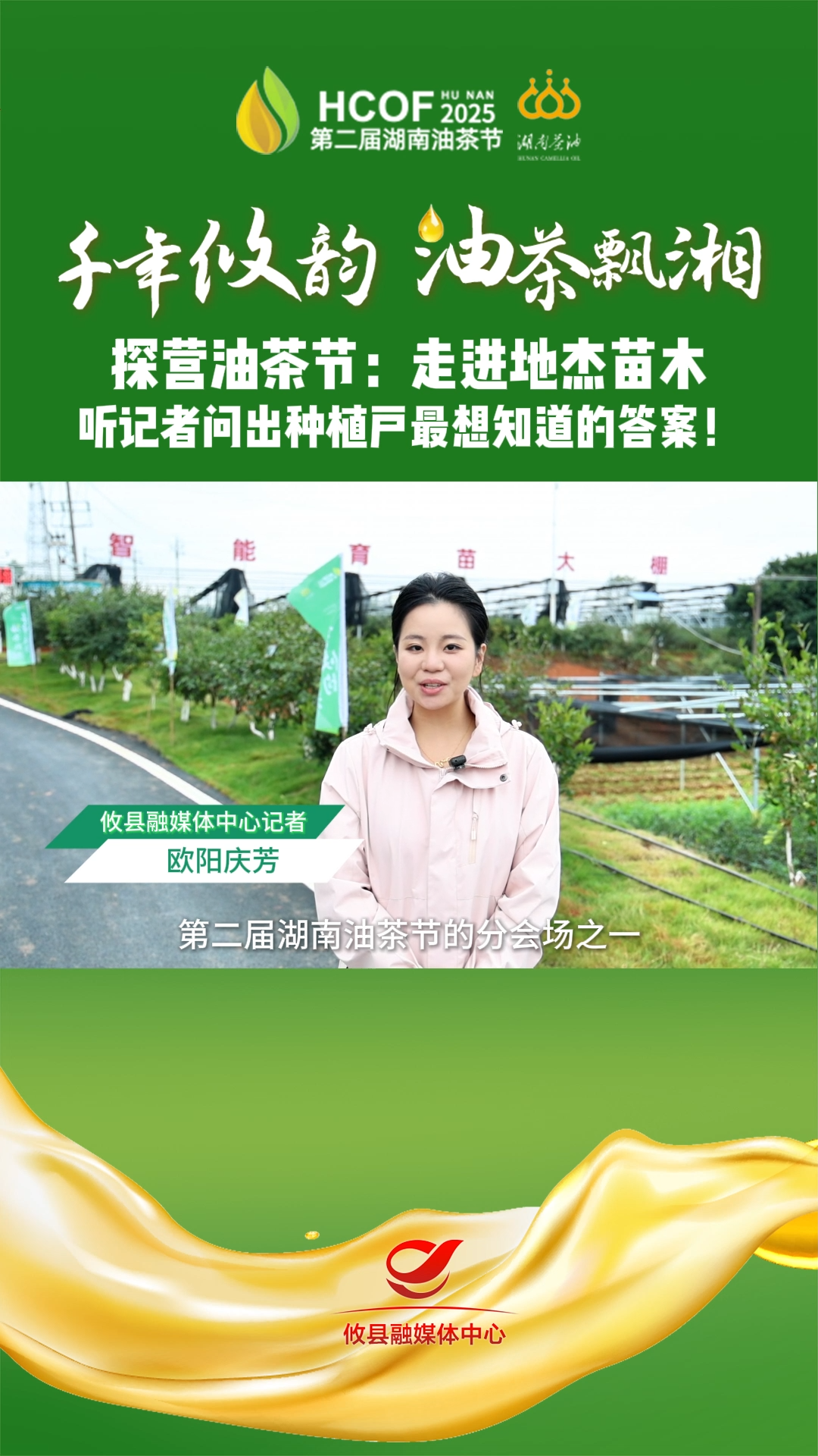 探营油茶节：走进地杰苗木 听记者问出种植户最想知道的答案！#第二届湖南油茶节  #攸县油茶 #科技赋能油茶创新引领未来