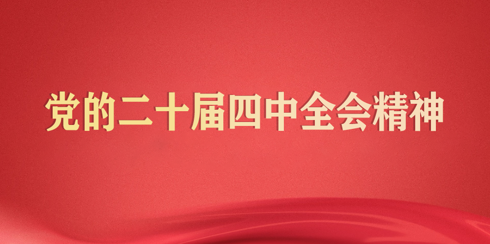 党的二十届四中全会精神