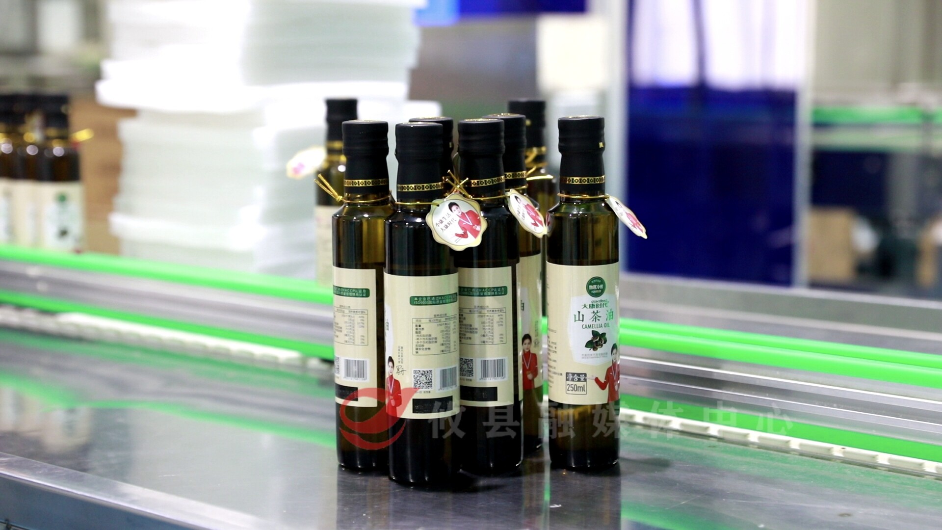 【千年攸韵 油茶飘湘】湖南亚美：科技让油茶生产智能新生