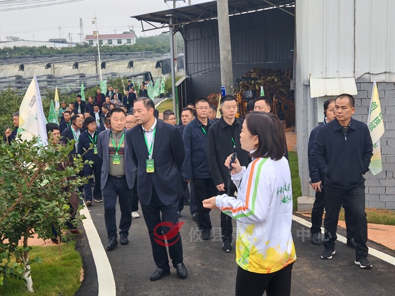 【千年攸韵 油茶飘湘】科技赋能油茶种苗培育 湖南第二届油茶节直击攸县智能大棚高效密码