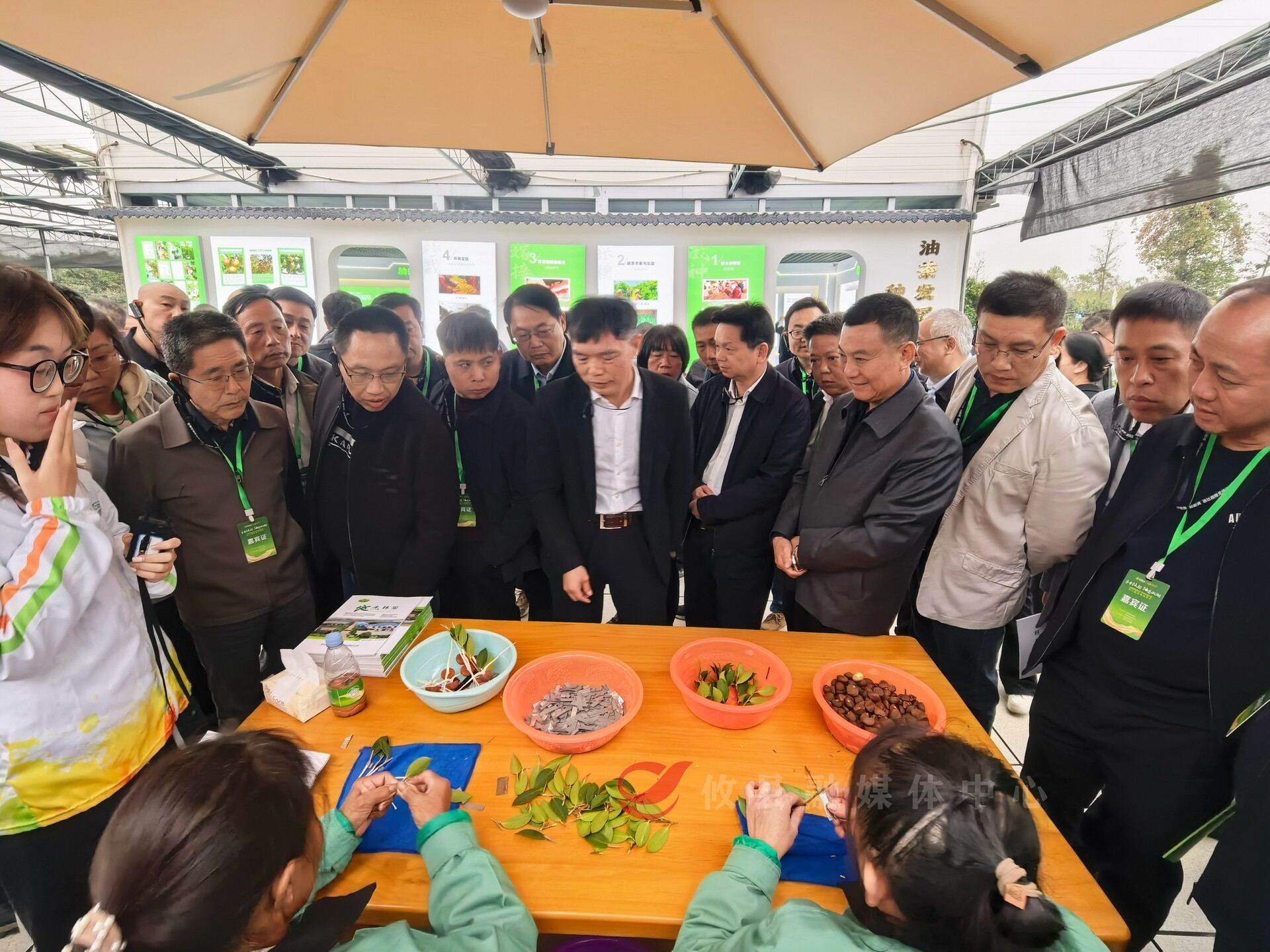 【第二届湖南油茶节】活动嘉宾和企业代表观摩攸县油茶企业  为攸县油茶产业发展成就点赞
