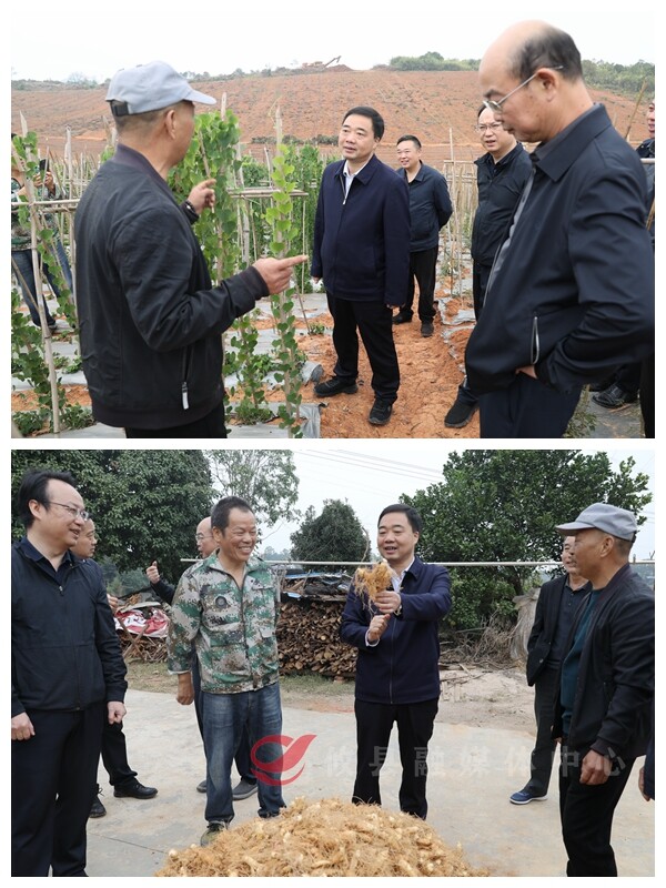 李鹏程调研巩固拓展脱贫攻坚成果同乡村振兴有效衔接工作