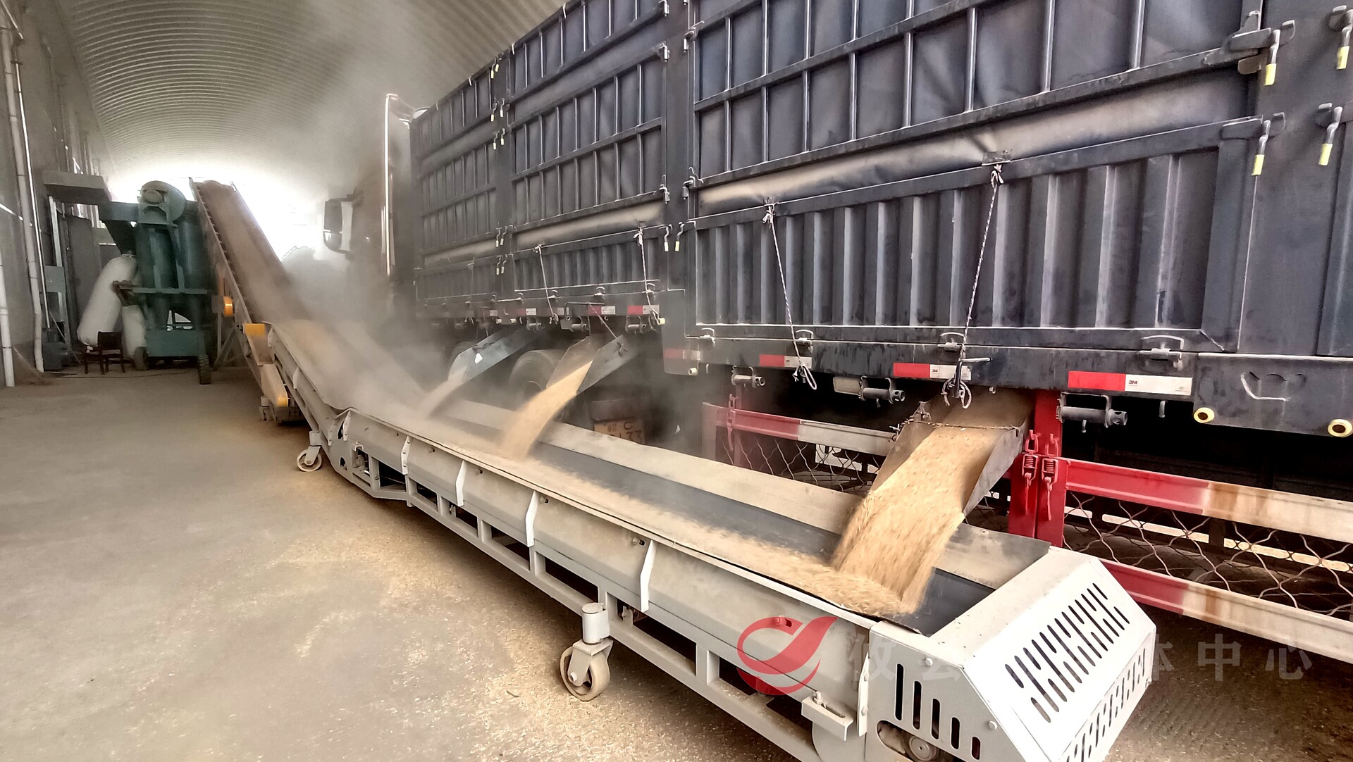 129元/100斤 攸县2025年中晚稻最低收购价收购已启动