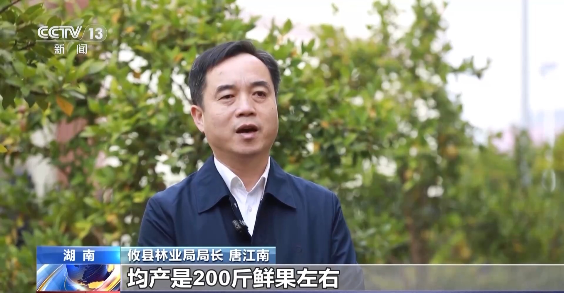 不得了，攸县这个“宝”上央视啦！