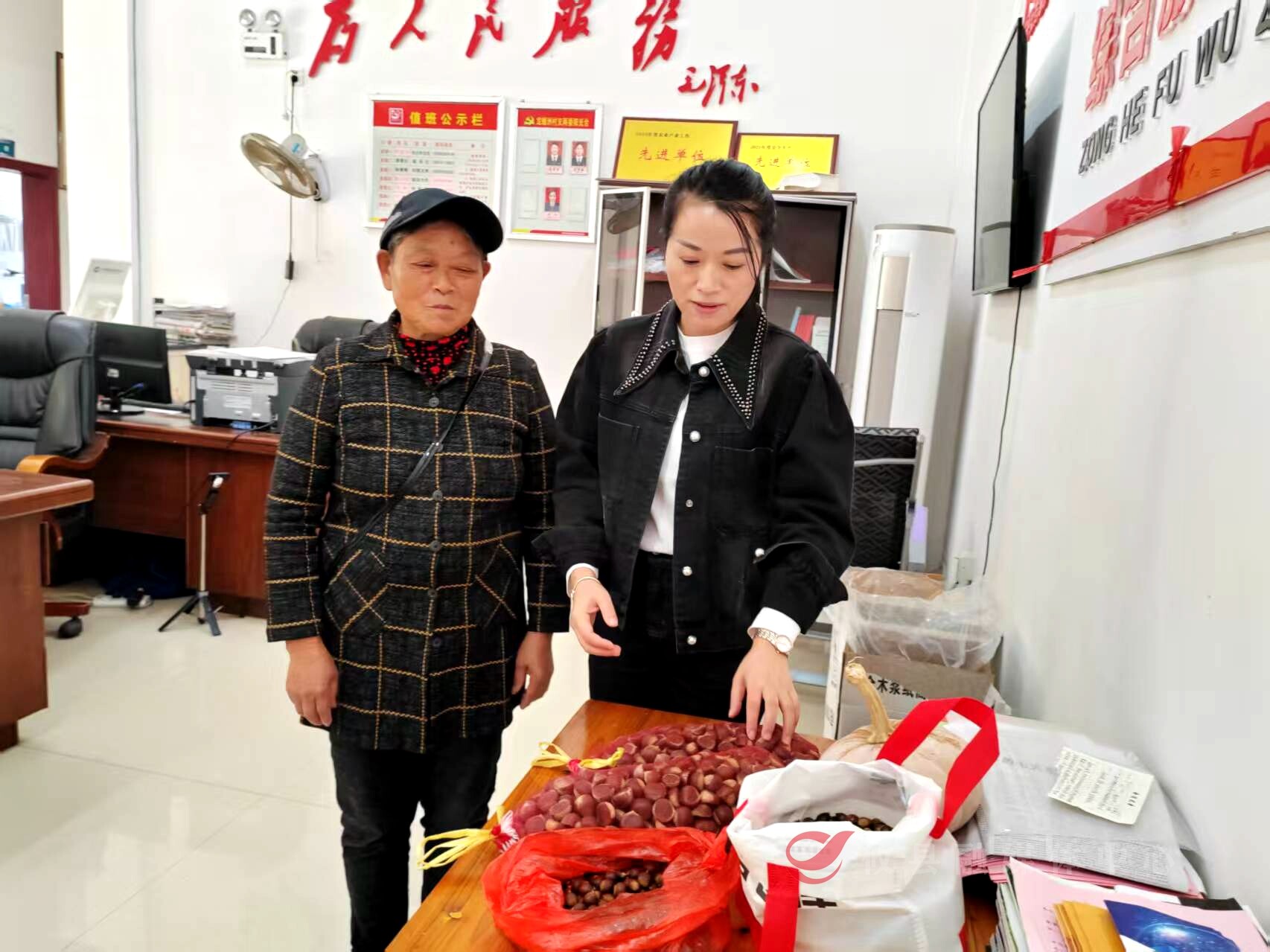 网岭镇龙蟠洲村：山路变通途 民心聚新村