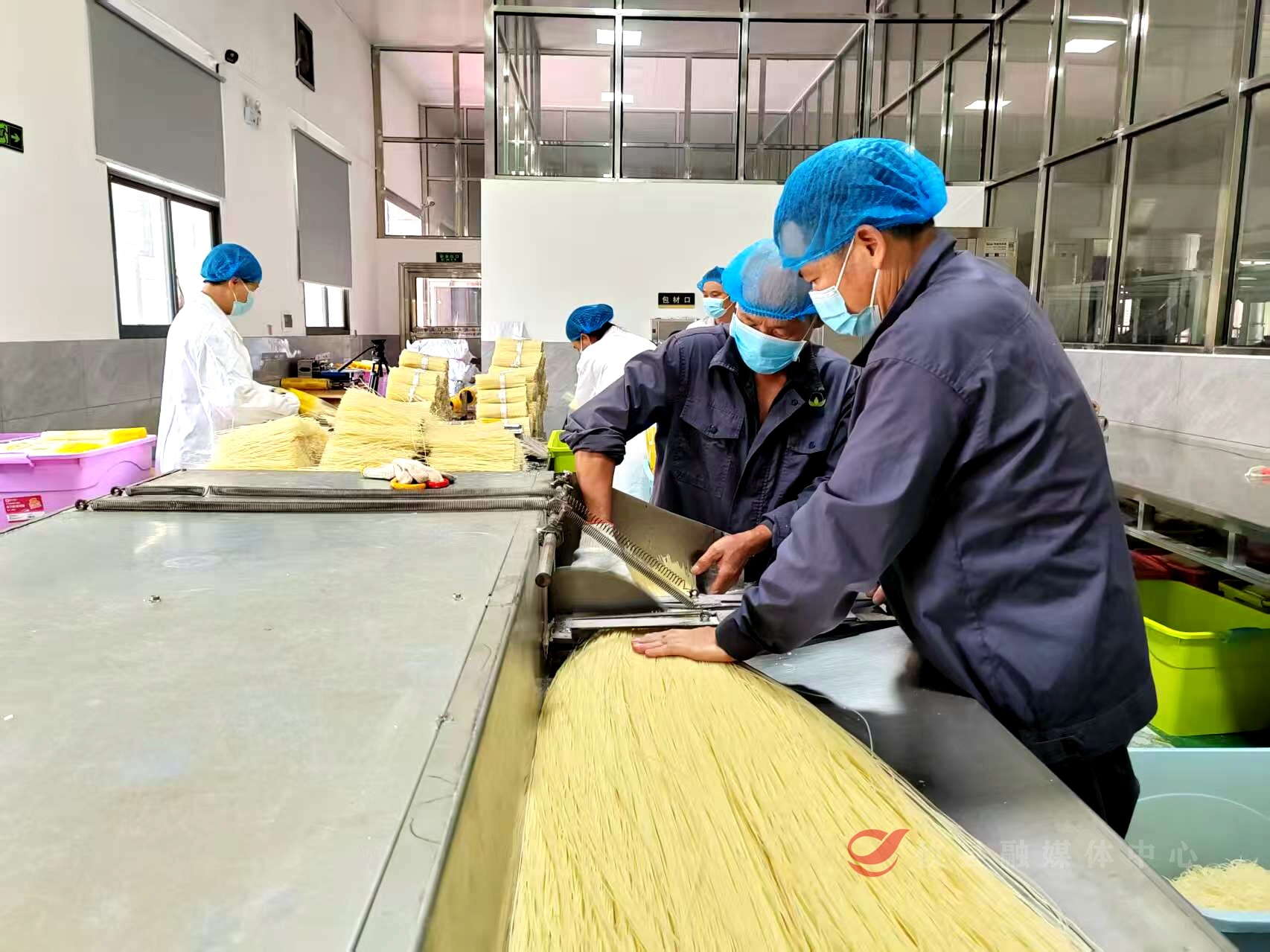 【掷地“攸”声·政协委员在行动】多措并举 攸县力推米粉产业不断发展壮大（二）