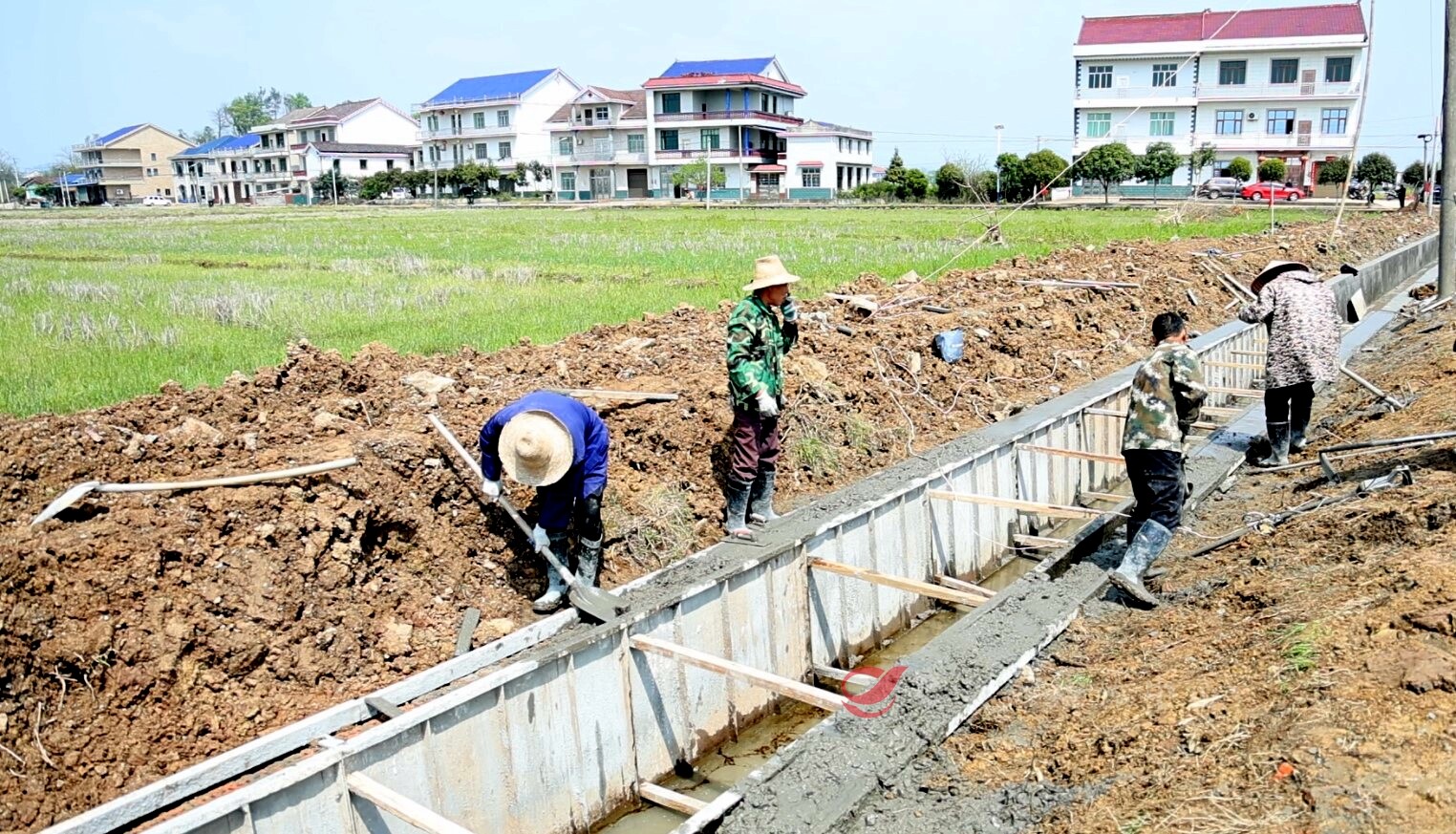 【“掷地“攸”声·政协委员在行动”】水畅其流润民生  支渠改造惠泽万亩良田（二）