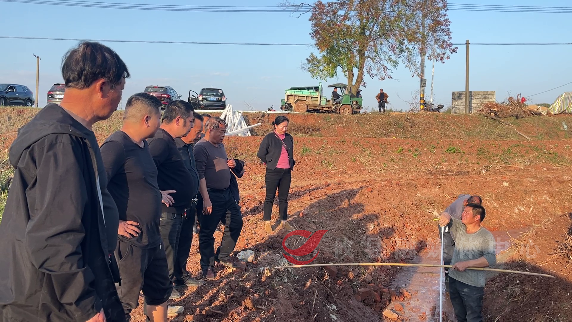 江桥街道：建好高标农田 筑牢“粮仓”根基