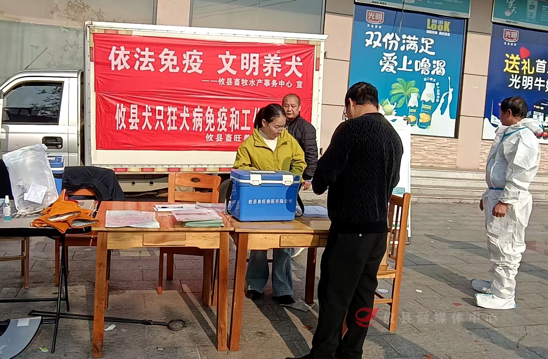 不要钱！快来给你家的“毛孩子”打疫苗