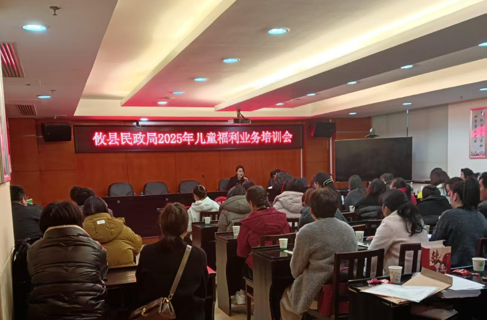 攸县民政局举办2025年儿童福利业务培训