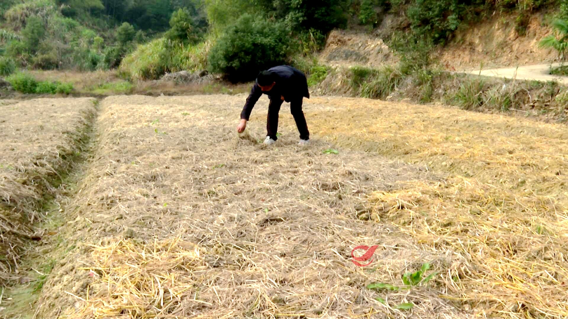 从“驻村”到“助村”：走实驻村帮扶路 铺就乡村振兴路