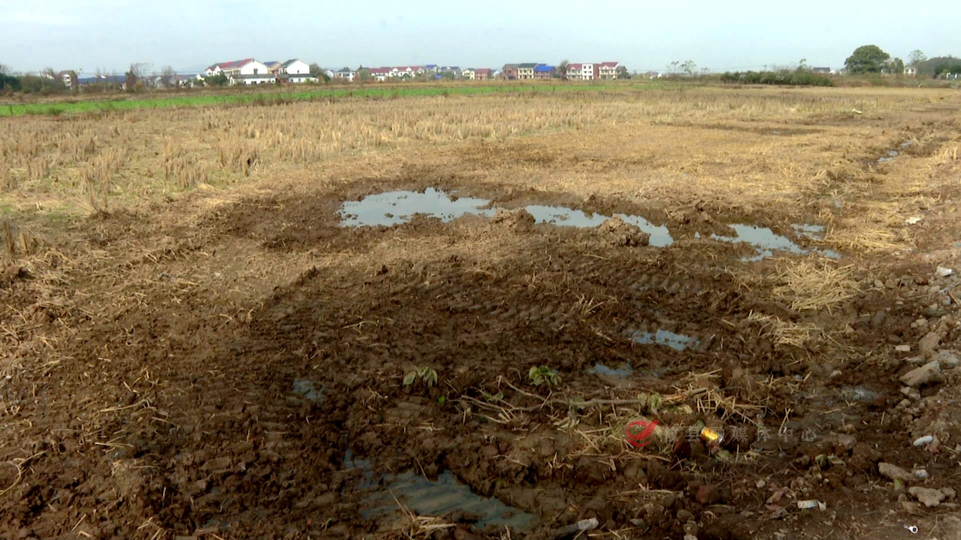 【人大票决】  田野调查 种粮“急难愁盼”成“民生议题单”（一）