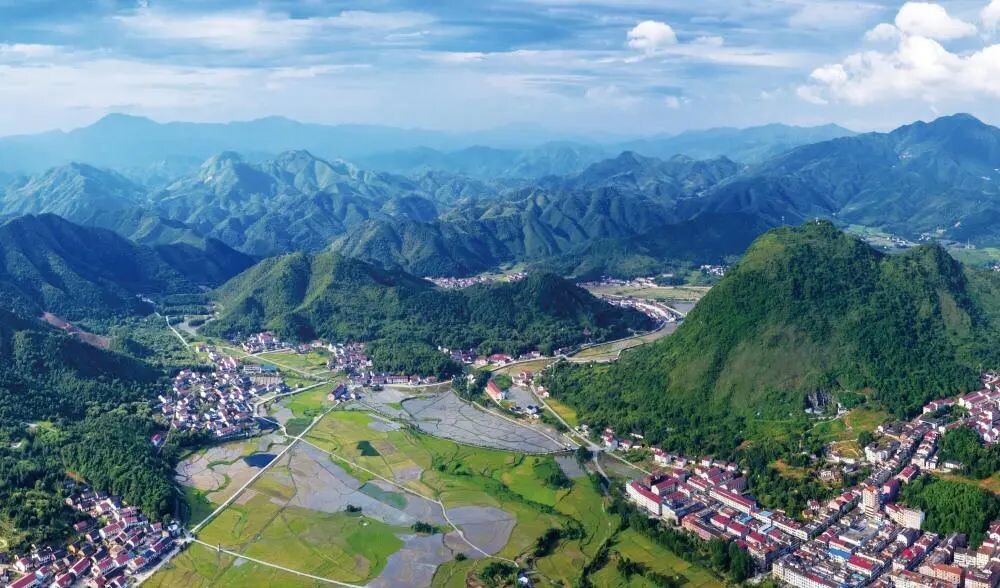 省级林地审批权限下放，攸县涉林审批服务再提速