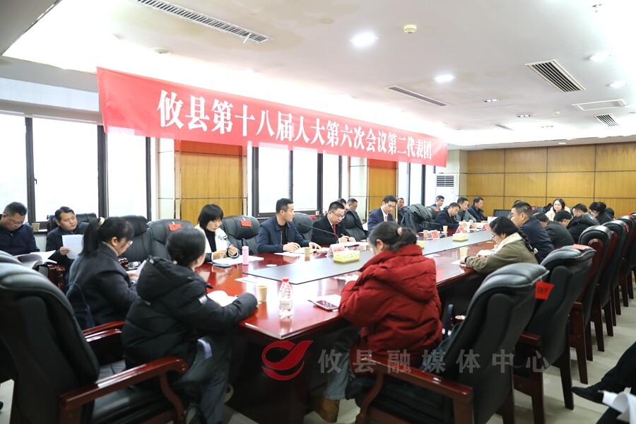 武挪强参加县第十八届人大六次会议代表分团讨论