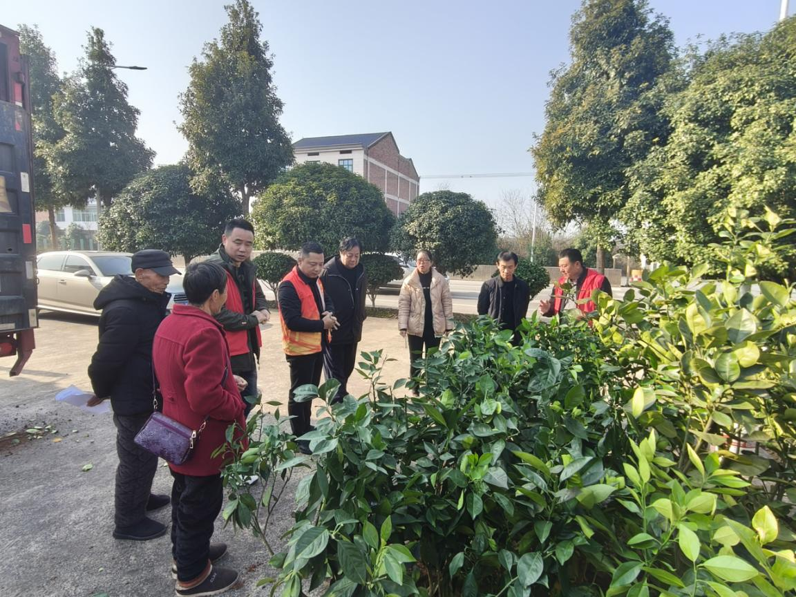 攸县林业局持续推进“身边增绿”试点活动，  送苗下乡助力罗家坪村四旁绿化