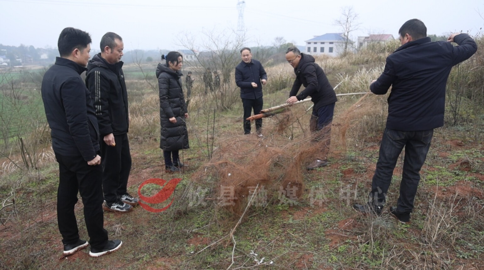 拆网护飞！攸县多部门联合执法，为越冬候鸟清障