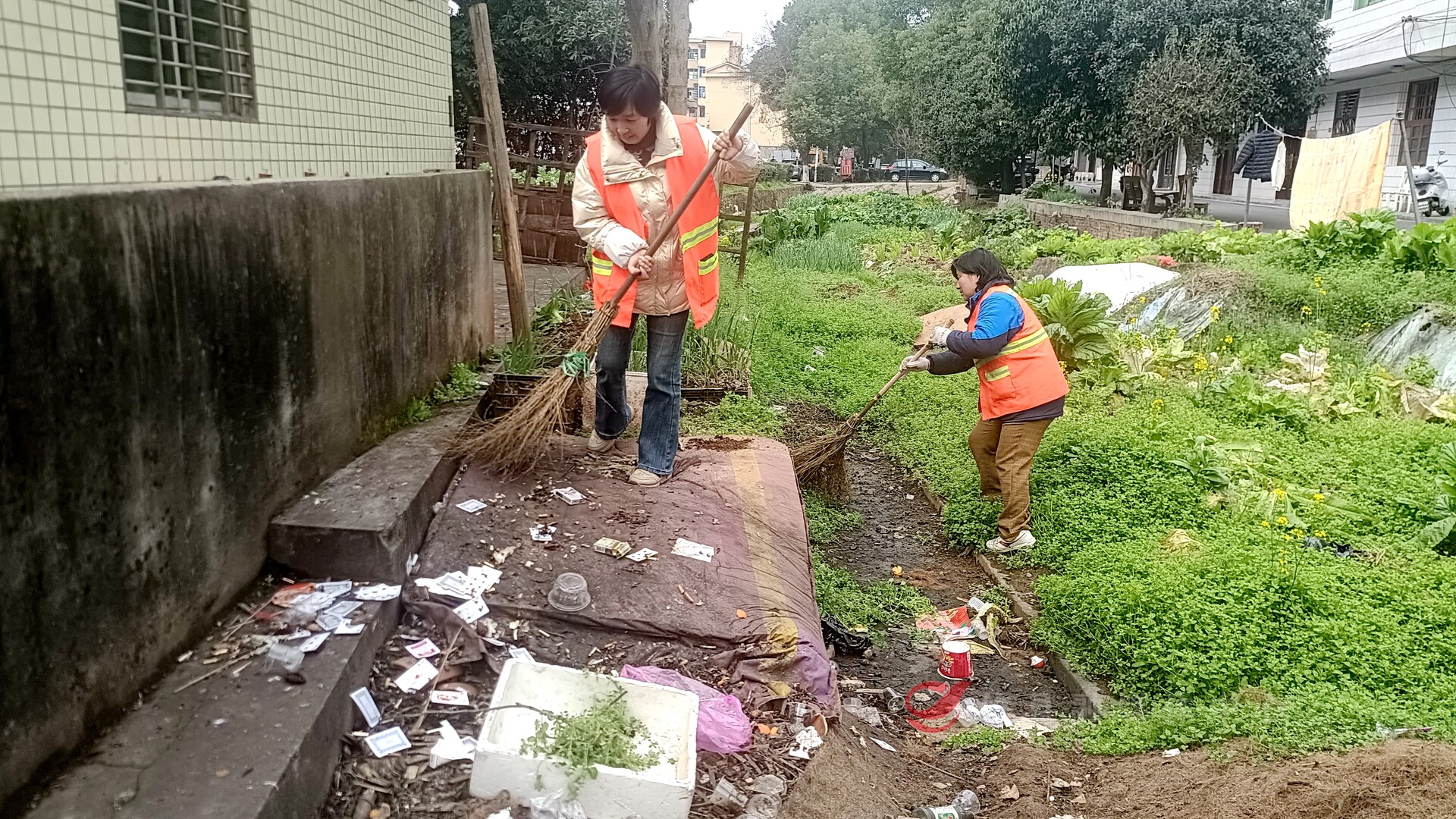 攸县环卫：用心保“春洁”