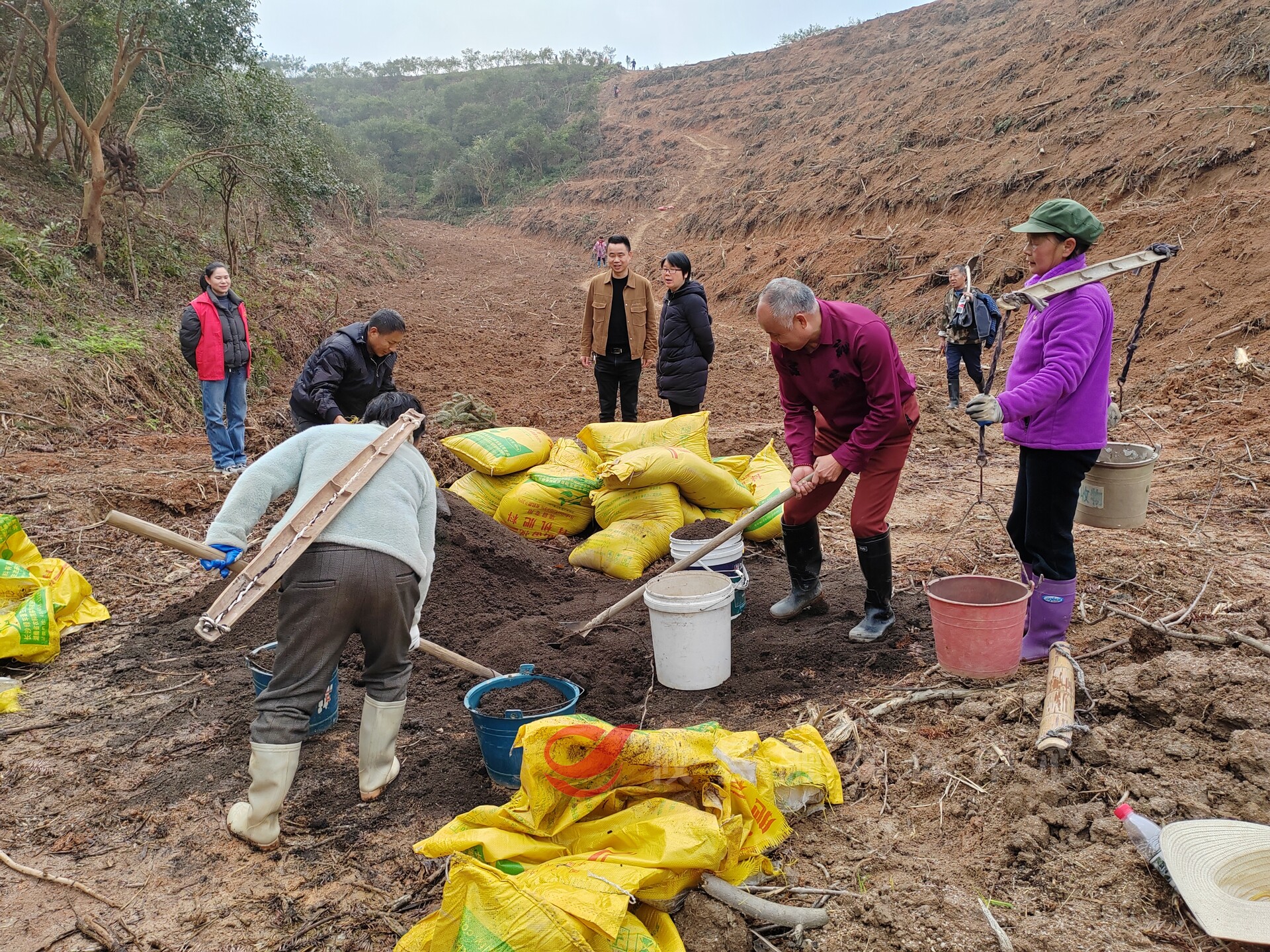 攸县：植绿正当时 生态展新姿
