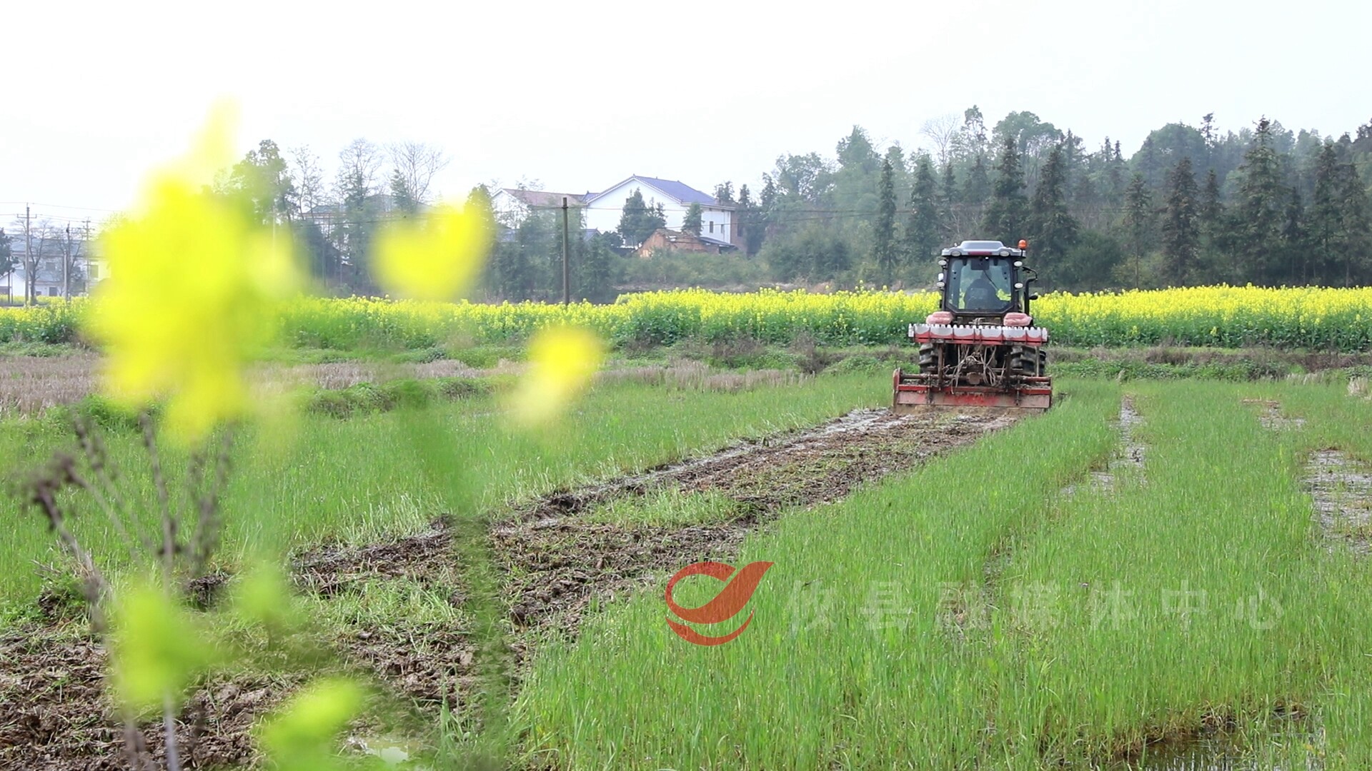 【春耕备耕】攸县农田翻耕忙 春耕备耕正当时