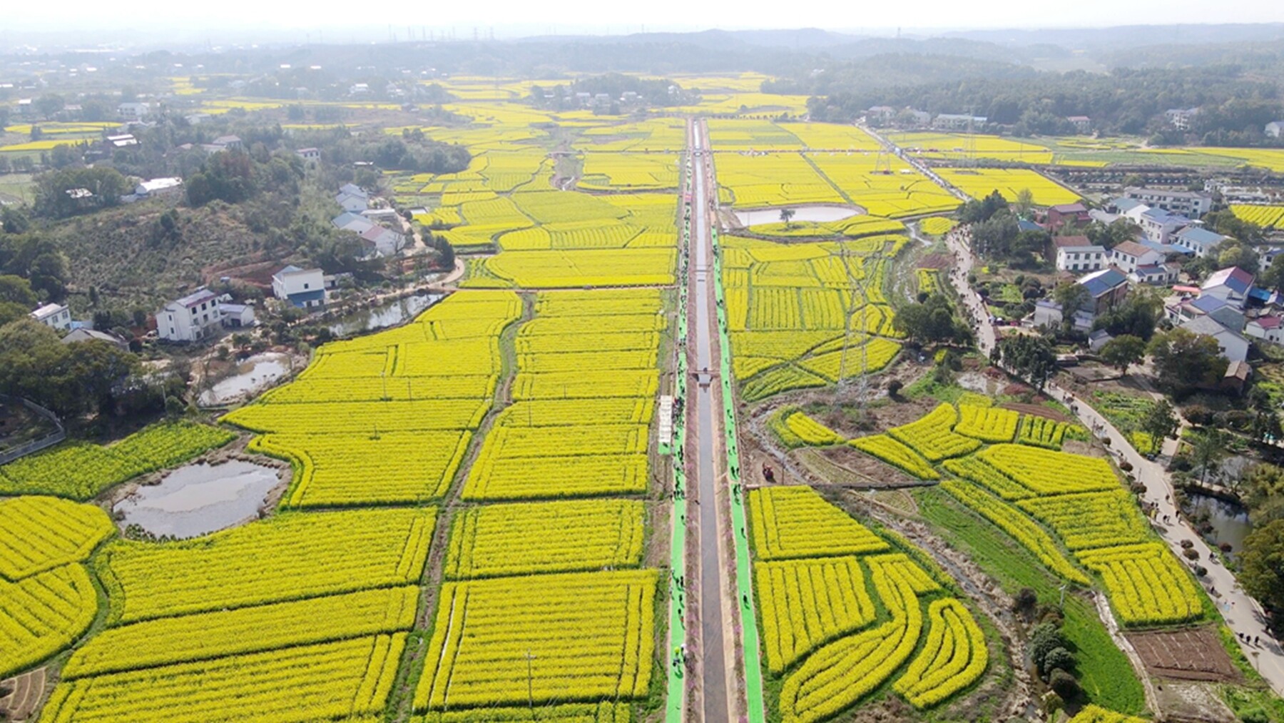 【油菜花儿开 攸县等您来】三月的油菜花，是我们出门踏春的邀请函