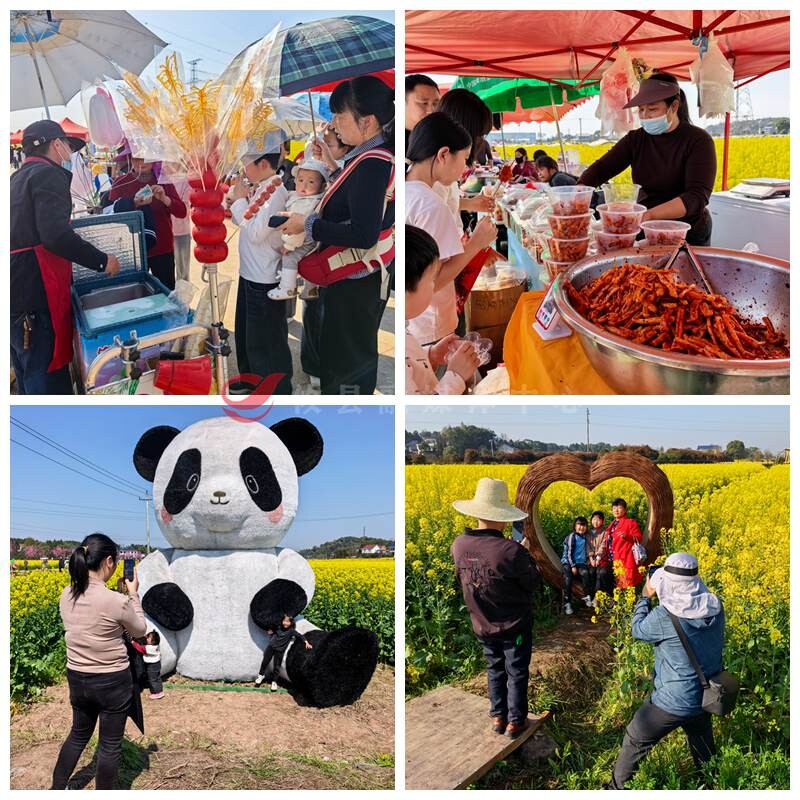 【油菜花儿开 攸县等您来】春暖花开正当时   宁家坪镇万亩油菜花海迎来亲子游和周末游