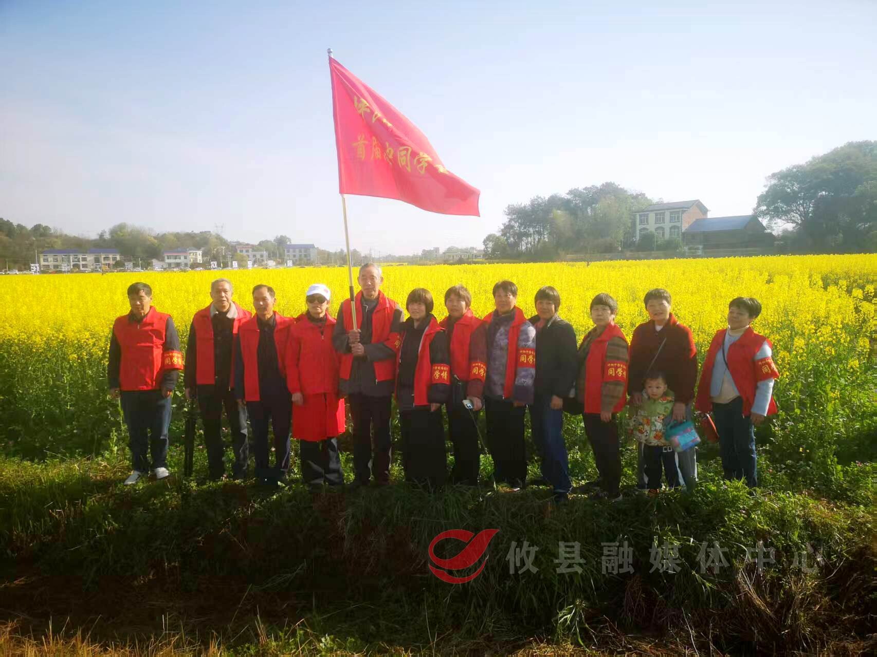 【油菜花儿开 攸县等您来】金色花海遇同窗   一场跨越半个世纪的“春日之约”