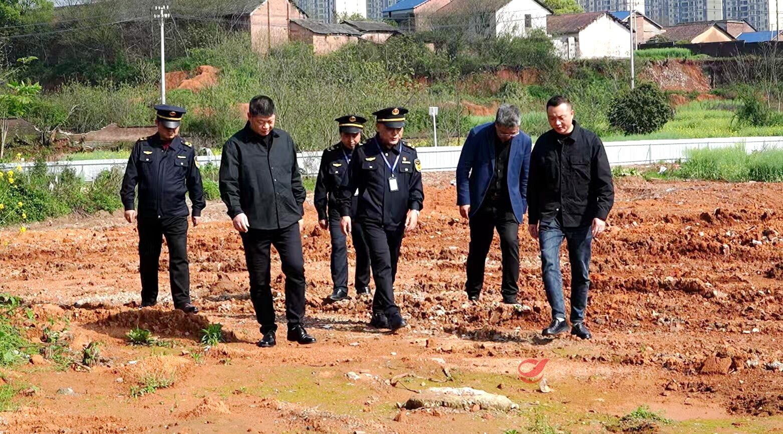 速查速清还净土 攸县快速整治一起固废乱倒问题