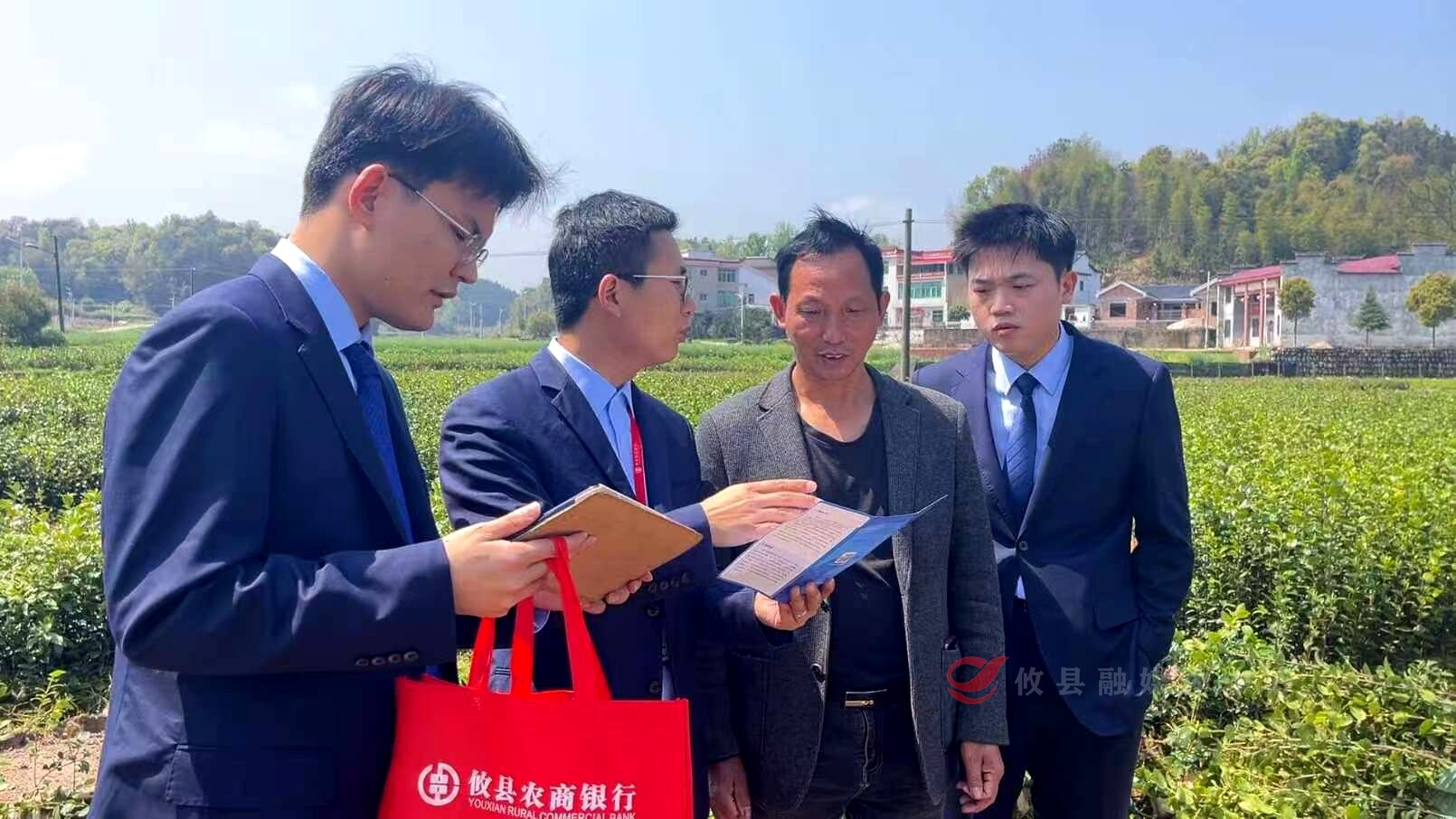 攸县农商行：金融活水滋润沃野 助力春耕备耕按下“快进键”