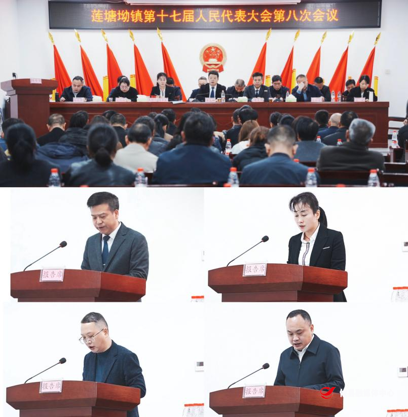 莲塘坳镇第十七届人民代表大会第八次会议胜利召开