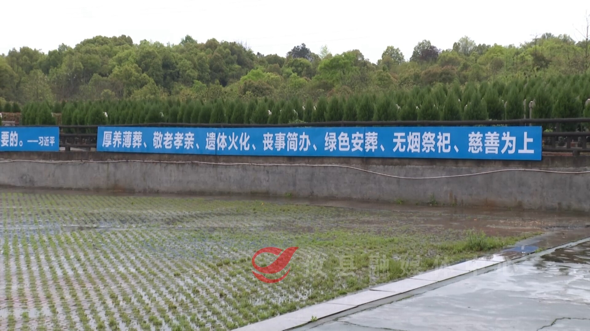 攸县：文明祭祀 让清明更“清明”