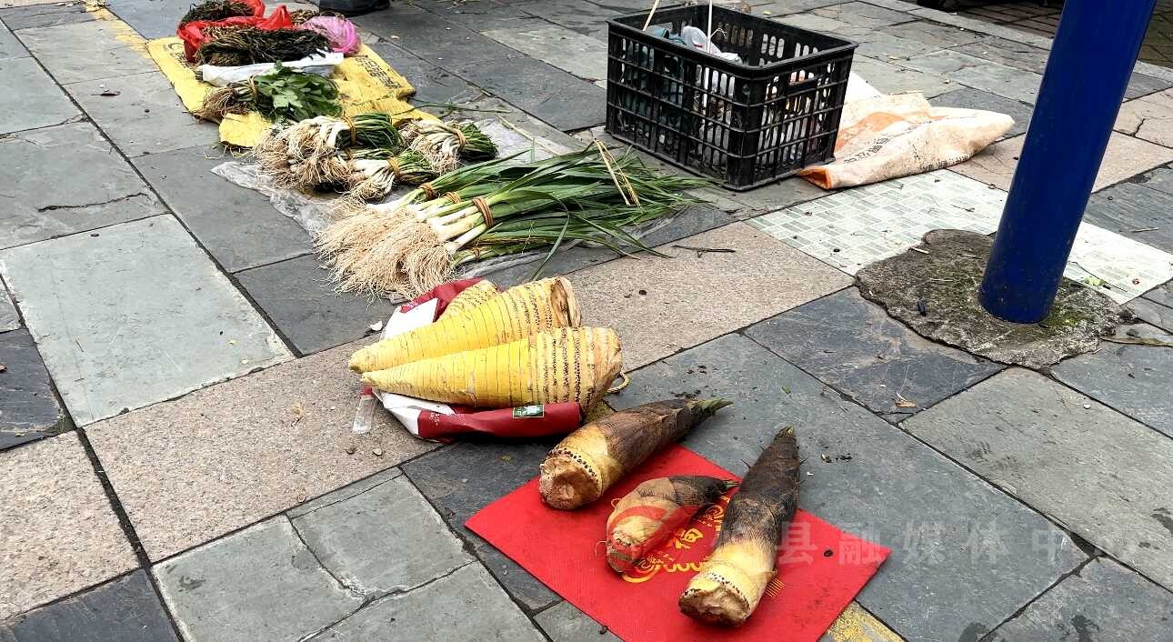时令野菜争“鲜”上市，市民争相品尝“春天的味道”