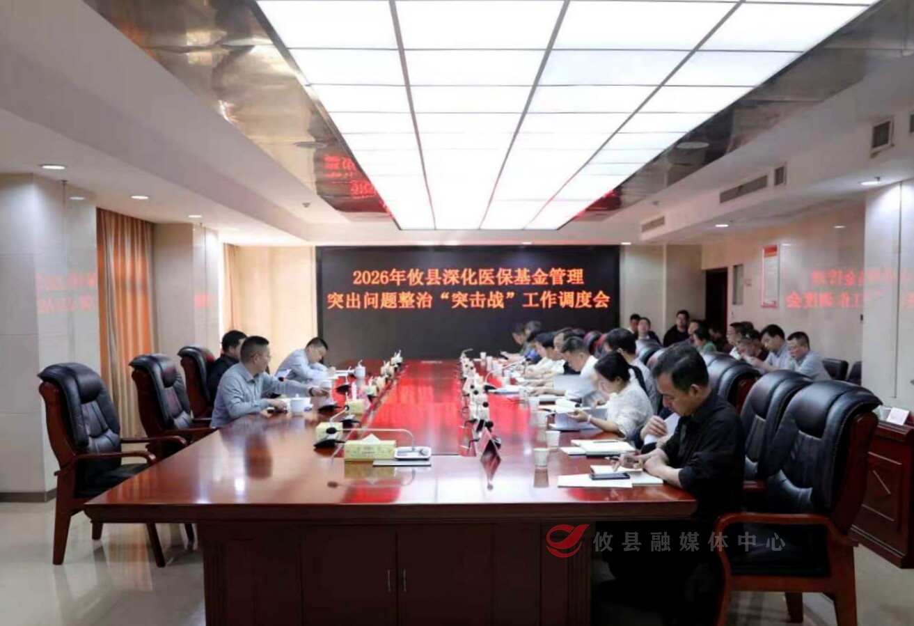 攸县调度医保基金管理突出问题整治 李鹏程：坚决守护好群众“救命钱”