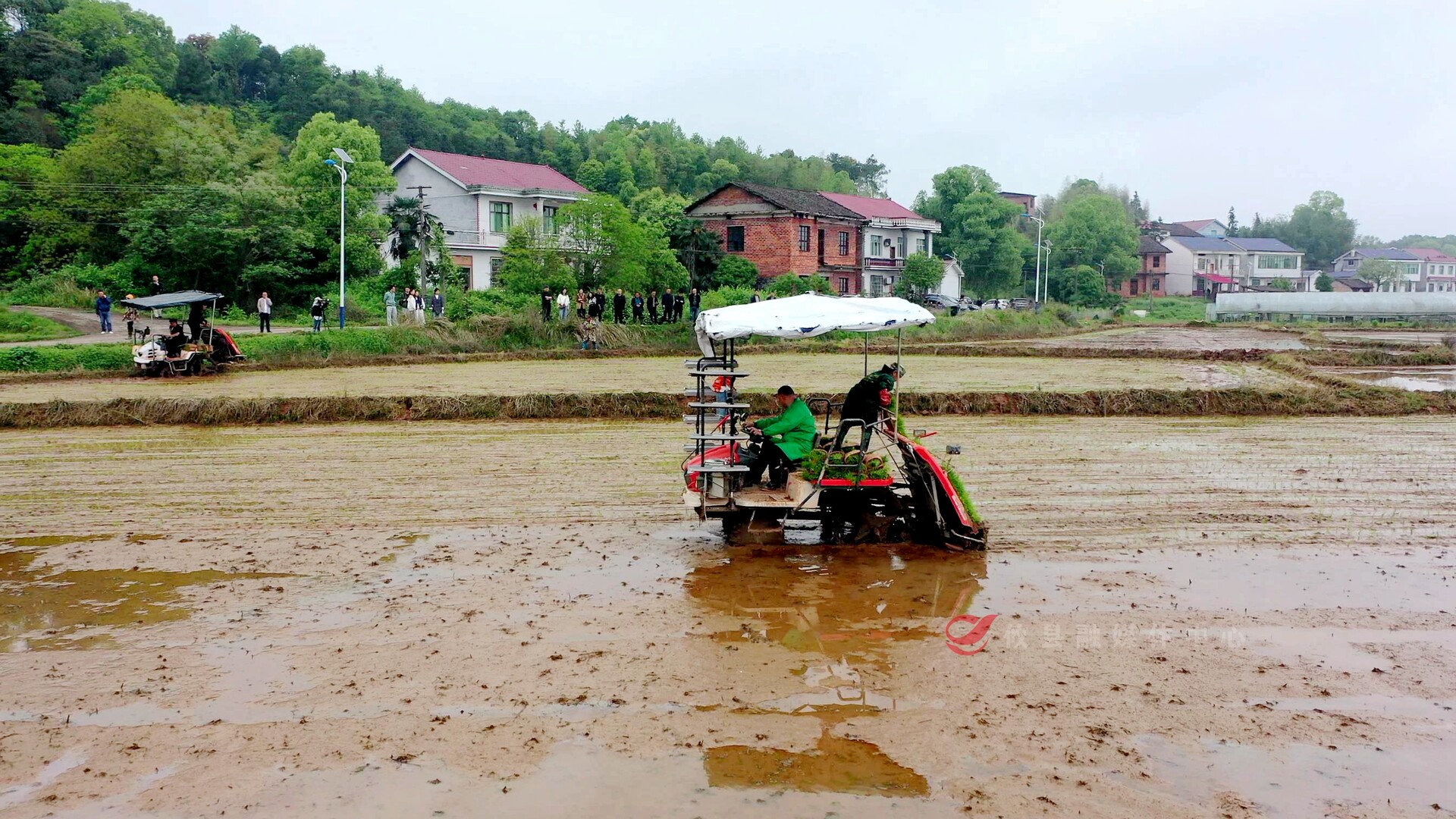 应对阴雨天气！攸县这场观摩会为早稻机插开出“良方”