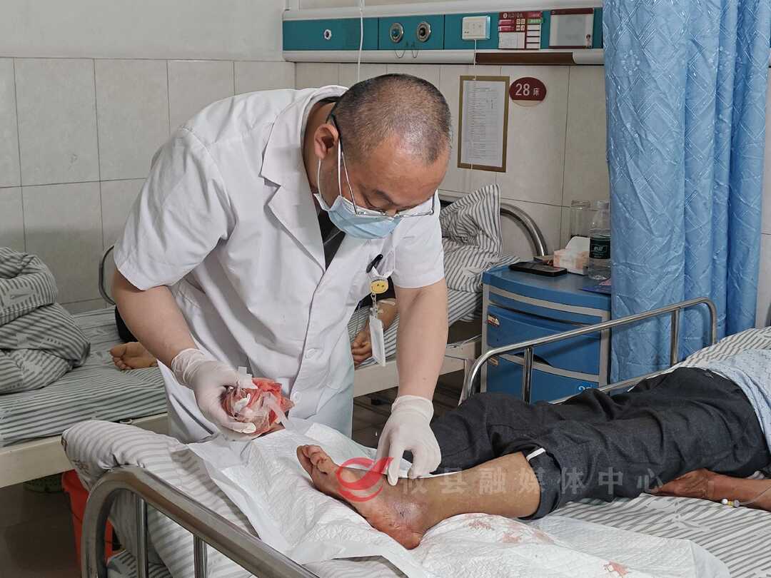 气温升高蛇出没 医生提醒户外活动需当心