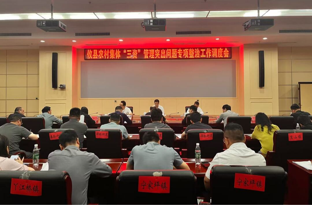 攸县部署推进农村集体 “三资” 管理突出问题专项整治工作